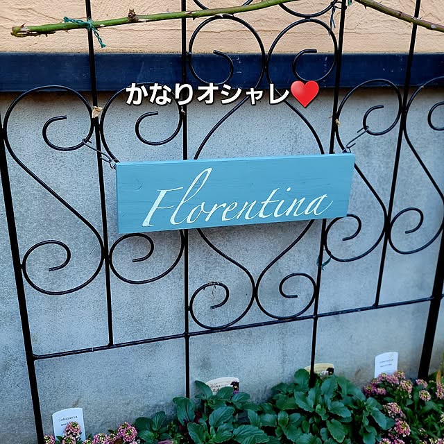 Entrance,バラ,ばらの庭,フロレンティーナ,ミルクペイント,ガーデニング,バラのネームプレート,ネームプレートDIY,フォロー&いいね ありがとうございます♡,クリスティアーナ,アイスバーグ saku-naraの部屋