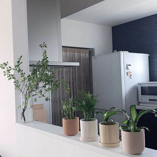 On Walls,ナチュラル,観葉植物,3COINS Oasaの部屋