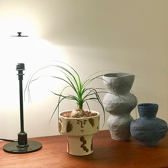 My Desk,アートのある部屋,ルイスポールセン,漆喰壁,NO GREEN NO LIFE,植物のある暮らし,間接照明のある暮らし Sacco38の部屋