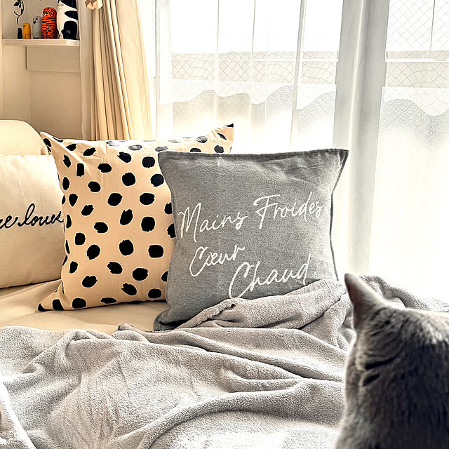 On Walls,THREEPPY,Daiso,プライベートブランド,IKEA,リビング,癒し,冬,RCの出会いに感謝しています♡,猫と暮らす,イベント参加します♡,猫が好き♡,コメントお気遣いなく♡,コメントスルーで大丈夫です♡,見ていただいてありがとうございます♡,風邪に注意,ゆるりラブな会,2025,こんばんは♡,今日もお疲れさまでした♡,クッションカバー,ブランケット snoopyの部屋