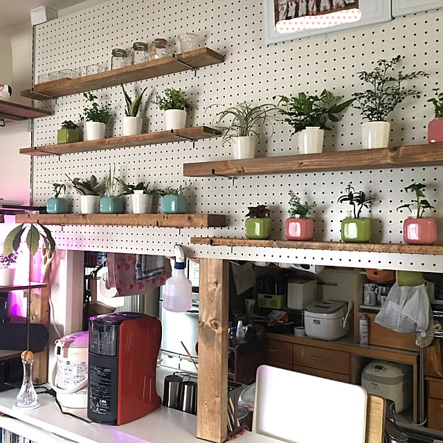 Lounge,水耕栽培,ペグボード,ディアウォール,DIY,観葉植物,マンション Satoshiの部屋