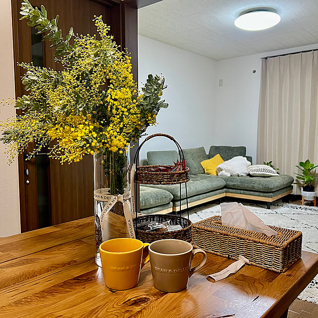 Overview,雑貨,ナチュラル,観葉植物,北欧,ソファ mameti07の部屋