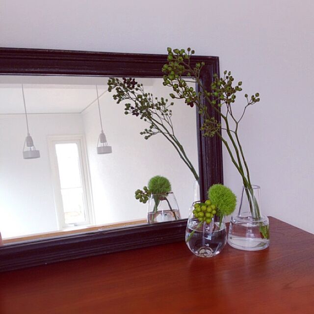 My Shelf,植物のある暮らし,ルイスポールセン,北欧ヴィンテージ家具,ホルムガード nico25の部屋