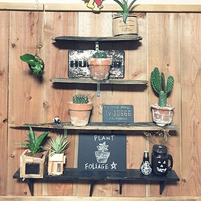 My Shelf,NO GREEN NO LIFE,サボテンクラブ☺︎,多肉植物,観葉植物,DIY板壁,100均,リメ鉢,DIY棚 k.i.brothersの部屋