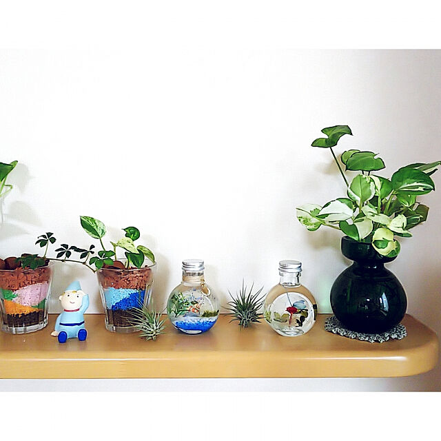 My Shelf,ガラス雑貨,フラワーベース,ハーバリウム,ハーバリウム手作り,観葉植物のある生活,観葉植物のある暮らし,ていねいな暮らしに憧れて,観葉植物,エアープランツ,カラーサンドアート,カラーサンド ハンドメイド akiwaka-roomの部屋