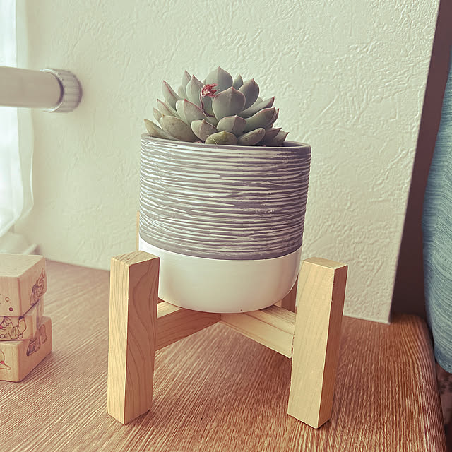 プチプラインテリア keikuの部屋