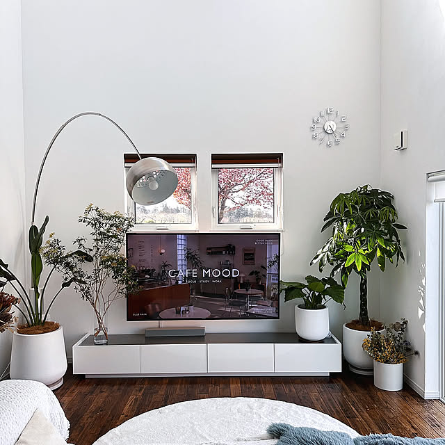 Overview,模様替え,アセビの枝,アセビ,新生活,観葉植物 hanahana1444の部屋