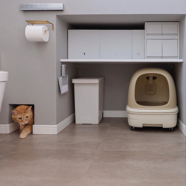 にゃんとも清潔トイレ,無印良品,トイレインテリア,家事楽,TOTOトイレ,猫穴,トイレットペーパーホルダー,埋め込み収納,トイレ収納,猫トイレ収納,猫トイレ置き場,猫トイレ,ねこと暮らす,マイホーム記録,シンプルな家,猫のいる暮らし,マイホーム,シンプルインテリア,シンプルな暮らし,Bathroom shiiiの部屋