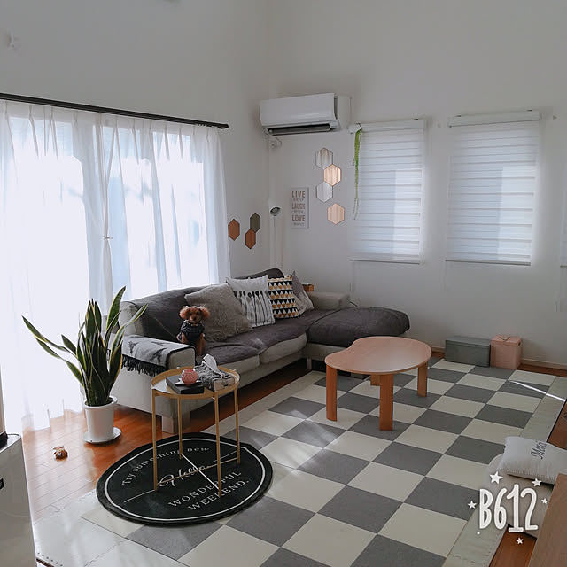 Lounge,犬と暮らす家,犬と暮らす,ボーコンセプトのソファー,アキュラホーム,おくだけ吸着,モニター当選,観葉植物,ハーフ吹き抜け,IKEA　クッションカバー,IKEA,ニトリのフロアランプ,トイプードル,IKEAのサイドテーブル,黄色のテーブル,サンコー,IKEAで購入,六角形ミラー,ニトリ,ニトリの円形ラグ,円形ラグ,サンスベリア,ニトリのポスター,ニトリのポスターボード,六角形鏡,IKEA　ミラー Tarutoの部屋