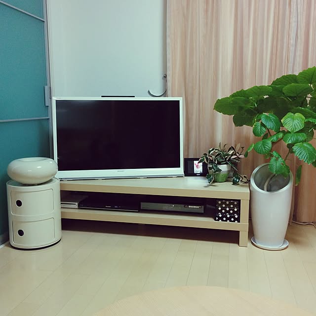 Lounge,北欧,IKEA,観葉植物,ウンベラータ,コンポニビリ,加湿器,プラスマイナスゼロ,テレビ台,テレビボード miyuの部屋