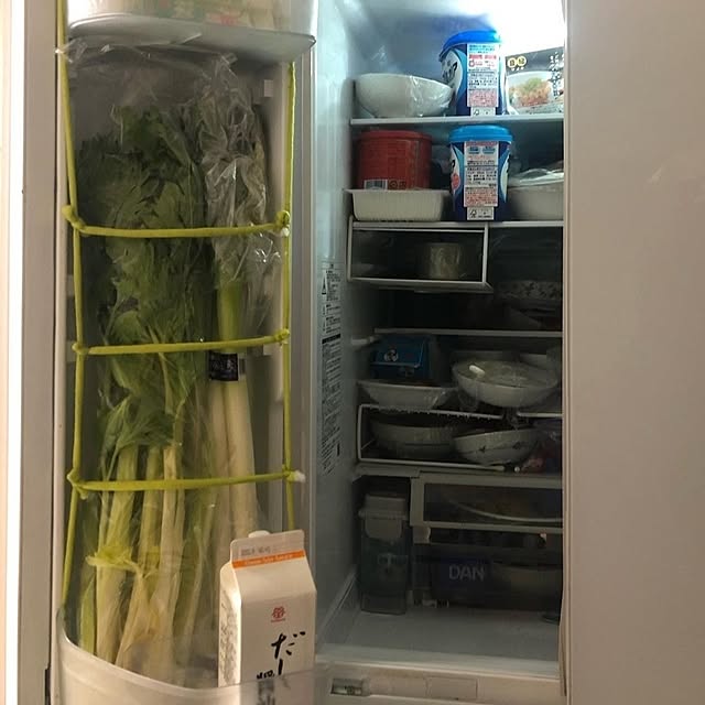 Kitchen,冷蔵庫,可動式,ポケット,冷蔵庫収納,上下,冷蔵庫ネギ収納,葉物収納,毛糸,ヒモ mori_6_12の部屋