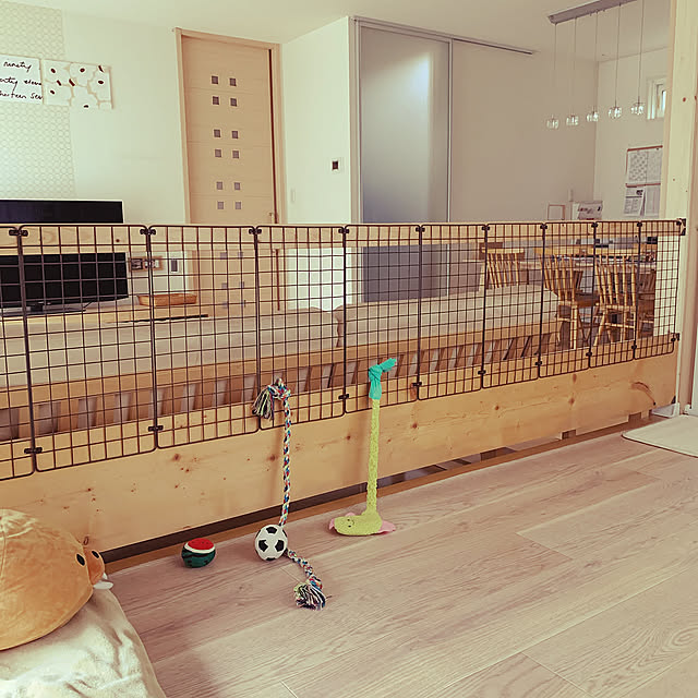 Lounge,ワイヤーネット,ディアウォール,クッションフロア,犬と暮らす,DIY,トイプードル,畳コーナー,北欧ナチュラル,犬,百均 mikiの部屋