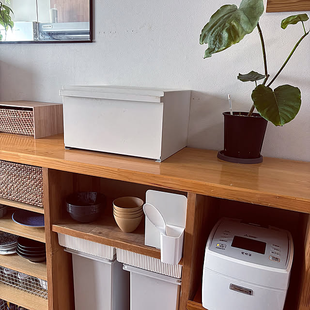 Kitchen,キッチンの工夫,狭小住宅,グリーンのある暮らし,植物のある暮らし masamasaの部屋