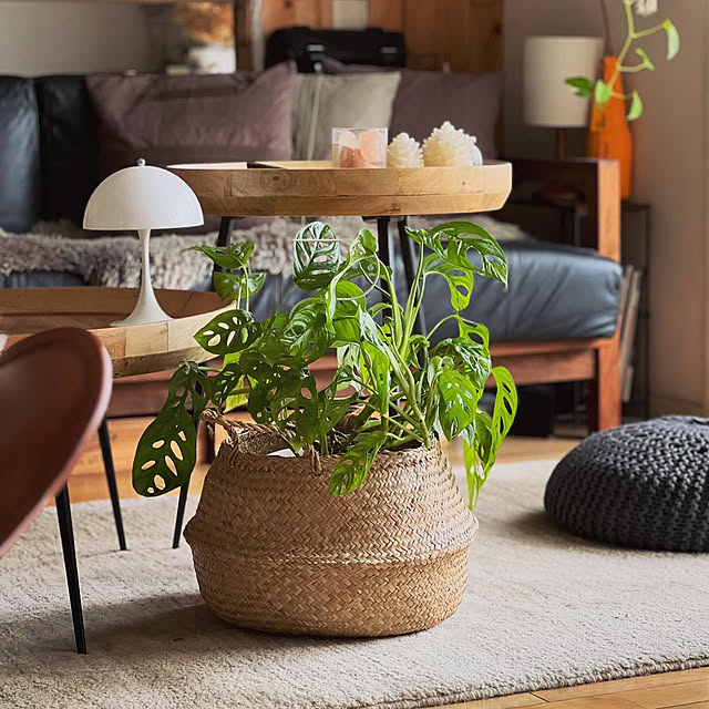 Lounge,スリコ購入品,暮らしを楽しむ,マンション暮らし,観葉植物のある暮らし chikichikiの部屋