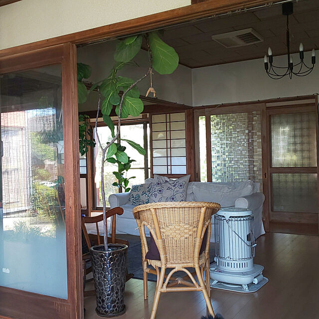 Lounge,におい対策,日本家屋,昭和の家,昭和レトロ,観葉植物,広縁,広縁のある家 --rnrmm--の部屋