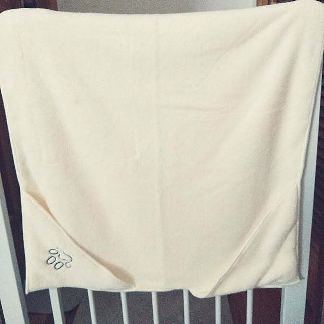 ペットグッズ,フレンチブルドッグのいる暮らし,DAISO購入品,DAISO300円商品,マイクロファイバータオル moco-chocoの部屋
