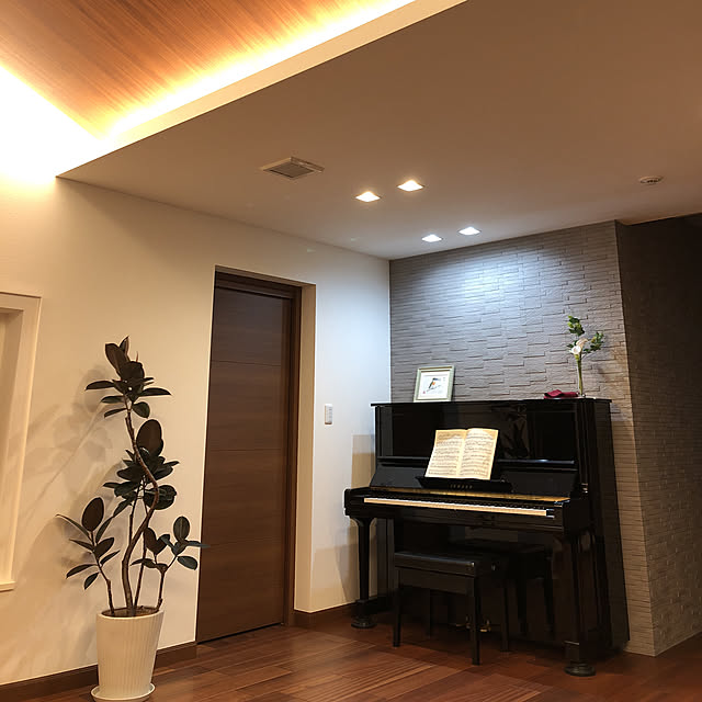 Lounge,ダウンライト,アップライトピアノ,フィカスバーガンディ,楽器のある部屋,平屋,勾配天井のリビング,間接照明,ピアノがある部屋,エコカラット michiの部屋