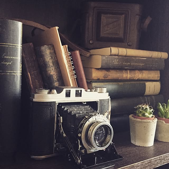 My Shelf,古道具,ハンドメイド,セメント鉢,本棚改造中,中は普通の小説,洋書風ブックカバー,本棚,蛇腹カメラ akiの部屋