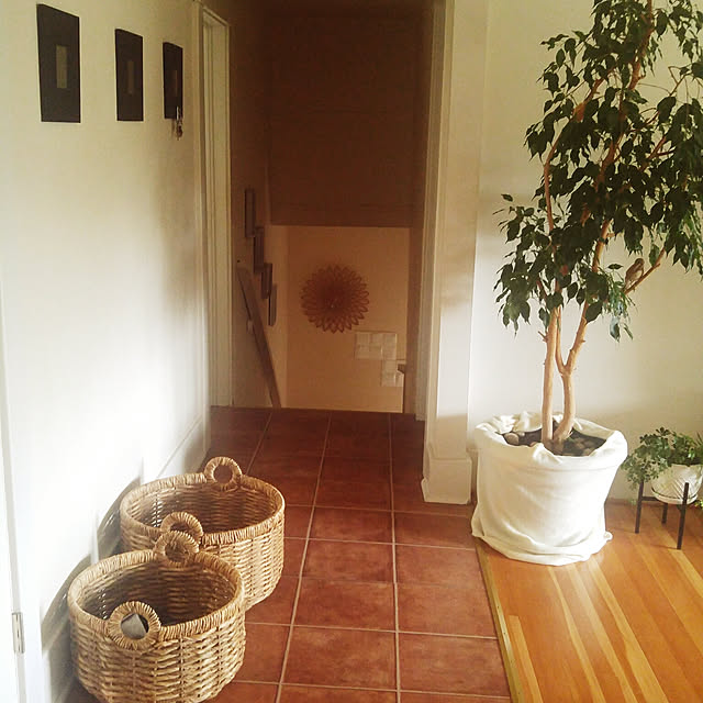 Bathroom,観葉植物,植物のある暮らし,賃貸,古い家,洗濯物,かご,フィカスベンジャミン,時計 airaの部屋