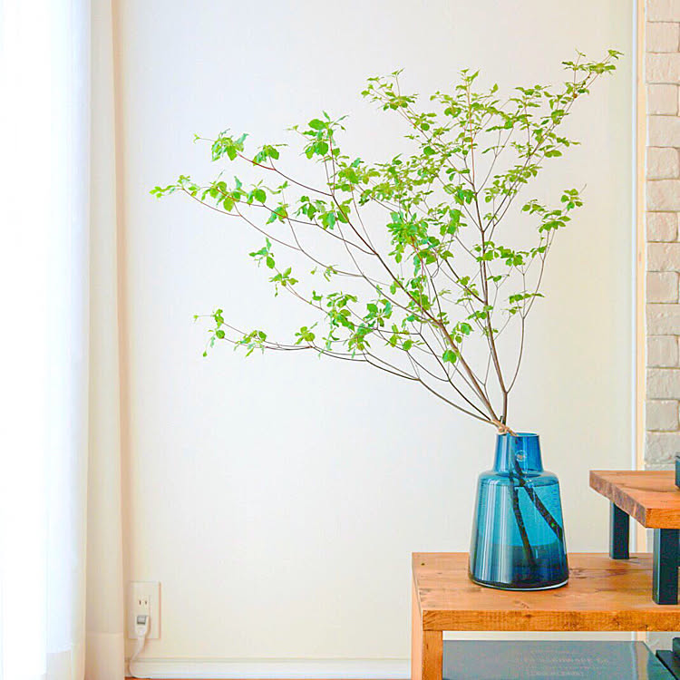 お部屋に彩りをプラス♡花瓶で楽しむ植物がある暮らし