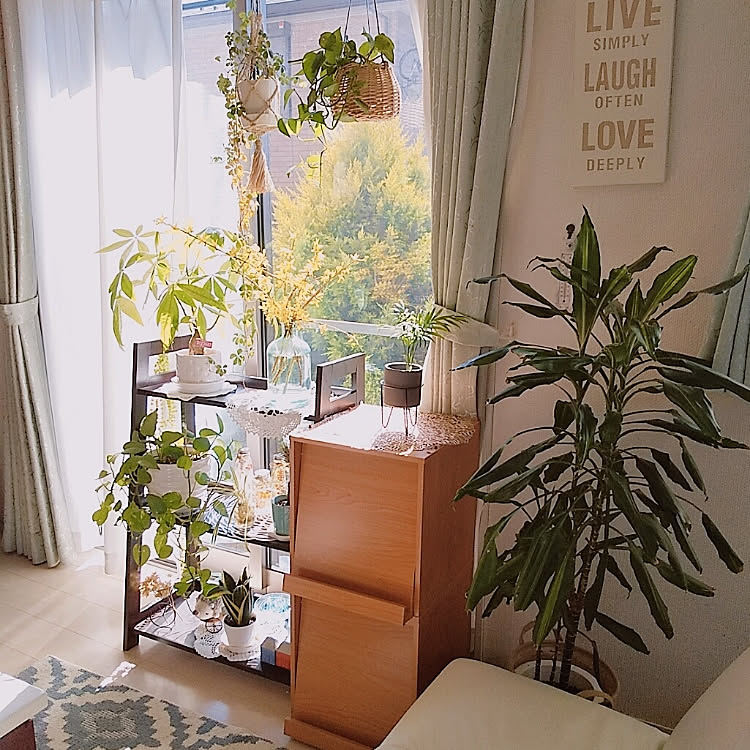 お部屋に合わせてカスタマイズ♪ニトリのウッドシェルフ&ラックが使える！