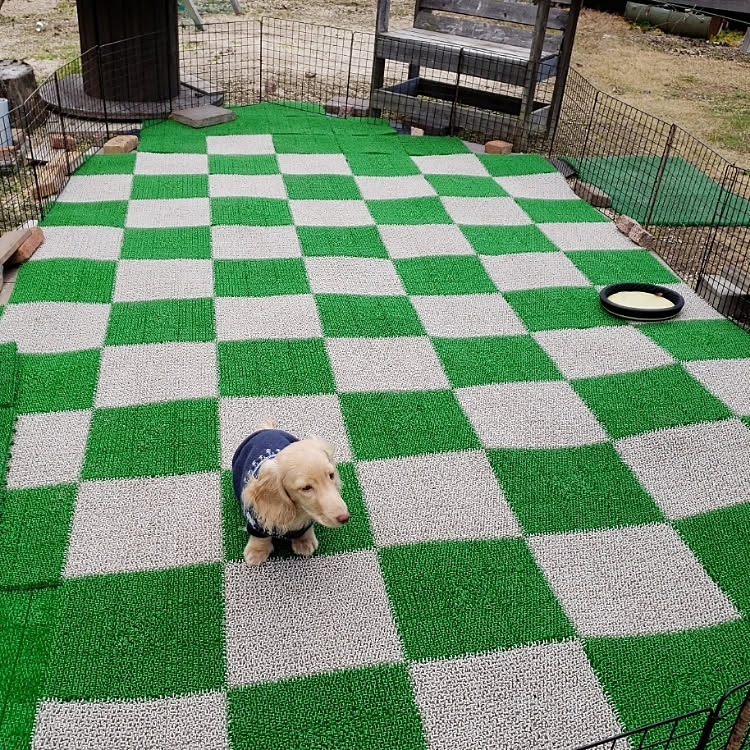 いつでも走れてワンちゃんハッピー ドッグランのdiy実例集 Roomclip Mag 暮らしとインテリアのwebマガジン いつでも走れてワンちゃんハッピー ドッグランのdiy実例集 Roomclip Mag 暮らしとインテリアのwebマガジン