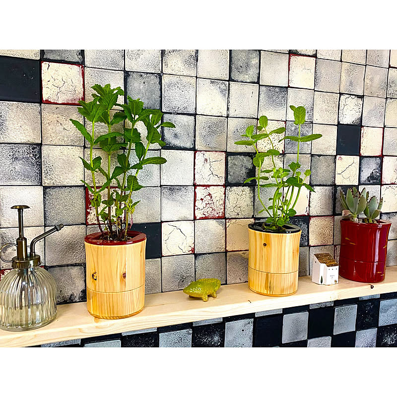 プランター・植木鉢