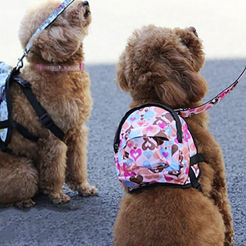 犬用インテリア・犬用家具