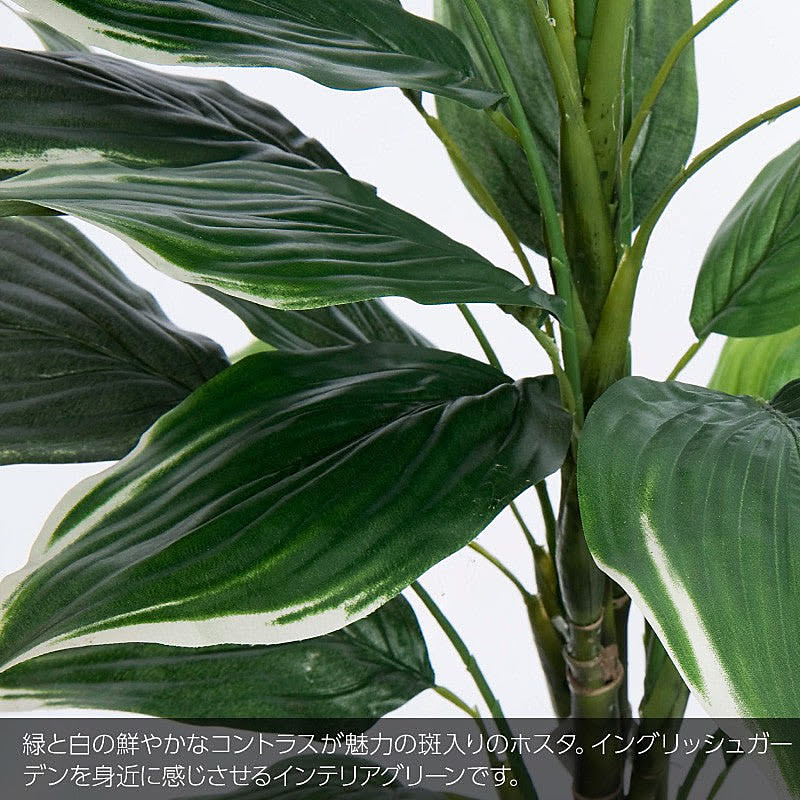 フェイクグリーン