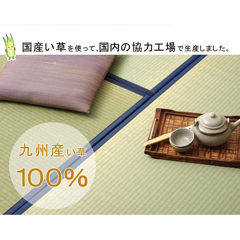 ござ・い草ラグ