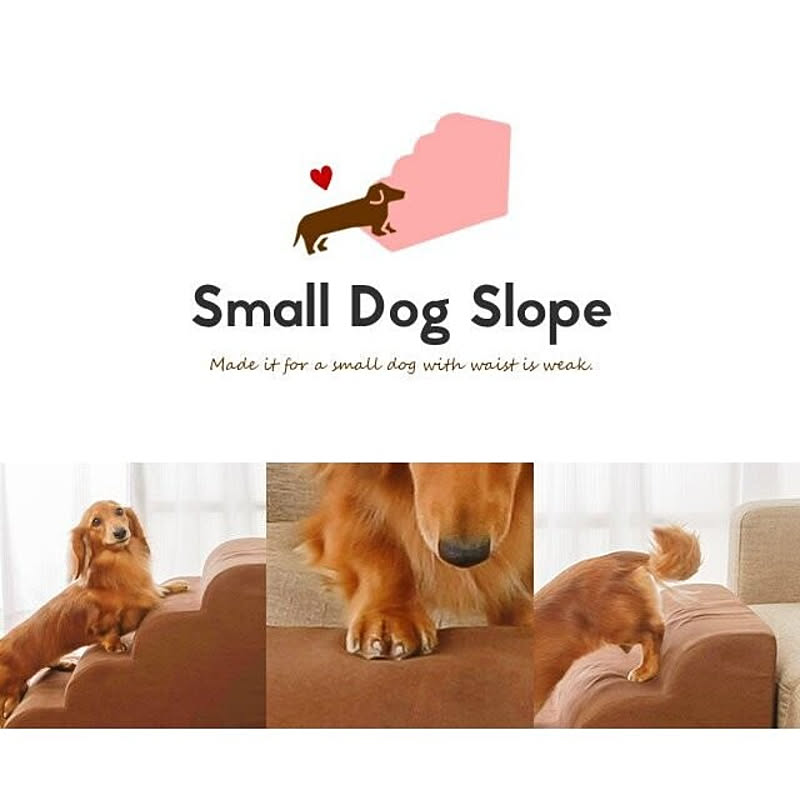 代引き手数料無料 ドッグステップ Mサイズ 2段 幅40cm ステップ スエード調 ペット 犬 小型犬 高齢犬 シニア犬 老犬 介護 ソファ ベッド 段差 階段 洗える カバー Discoversvg Com 代引き手数料無料 ドッグステップ Mサイズ 2段 幅40cm ステップ スエード調 ペット 犬 小型犬 高齢犬 シニア犬 老犬 介護 ソファ ベッド 段差 階段 洗える カバー Discoversvg Com