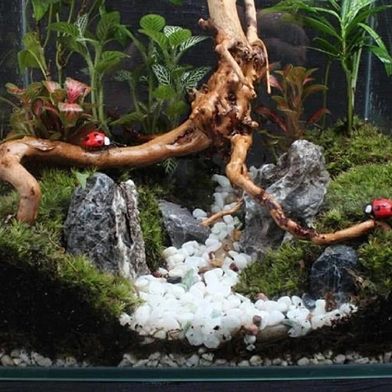 1個】Sサイズ 形状お任せタイプ アクアリウム 流木 煮沸済 流木 1個】Sサイズ 形状お任せタイプ アクアリウム 流木 煮沸済 流木