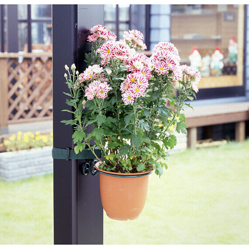 ポールハンガー リング ハンマートン No 272a 日本製 Greengarden ガーデニング ポットスタンド ハンギング 花 園芸 インテリア 鉢 玄関 室内 インドア 庭 国産 通販 Roomclipショッピング ポールハンガー リング ハンマートン No 272a 日本製 Greengarden ガーデニング ポットスタンド ハンギング 花 園芸 インテリア 鉢 玄関 室内 インドア 庭 国産 通販 Roomclipショッピング
