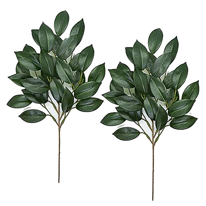 急行する それる ルーム 榊 造花 セリア Gibu Jp