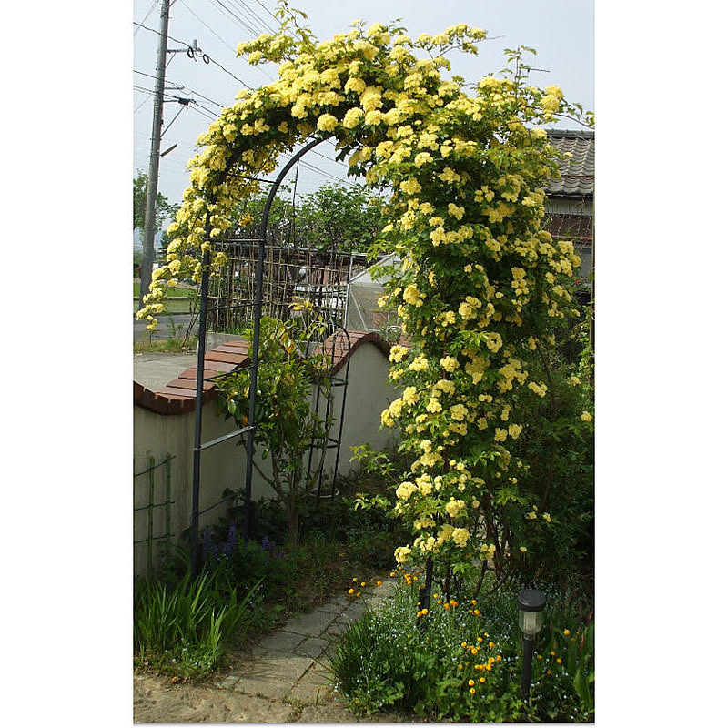 フラワースタンド・花台