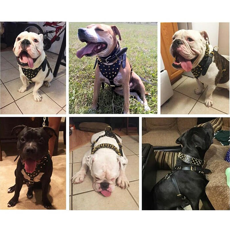 ハーネス 犬用 ブラック スタッズ トゲトゲ ワイルド スパイク チョーカー バックル 調節 ベルト ペット 安全 散歩 中型犬 大型犬 かっこいい おしゃれ 個性的 リード 通販 Roomclipショッピング