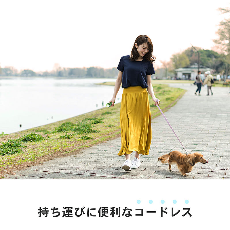 ランタン