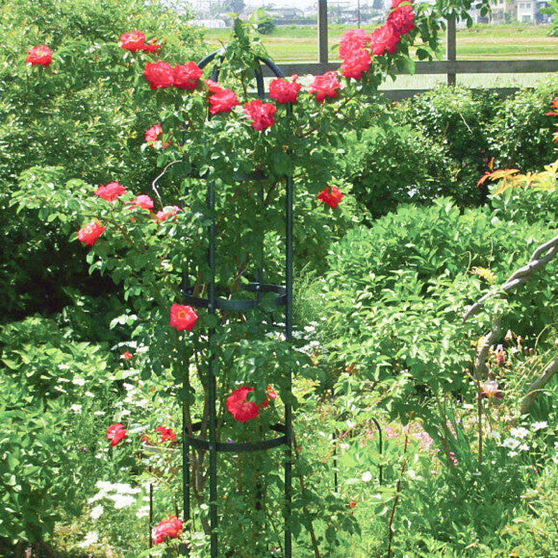 フラワースタンド・花台