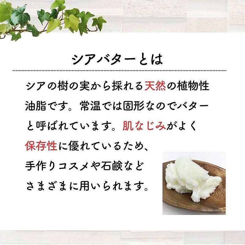 精製 シアバター オーガニック 100 50ml 再販ご予約限定送料無料
