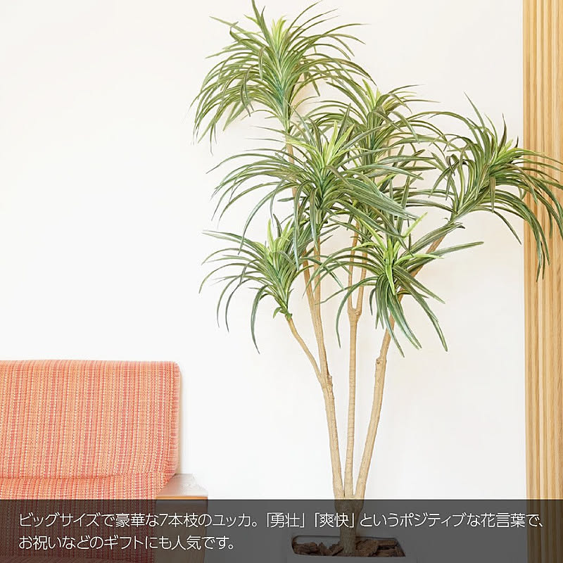 フェイクグリーン ユッカツリー 青年の木 7本枝 165cm ｍ Sc Ct触媒 通販 Roomclipショッピング