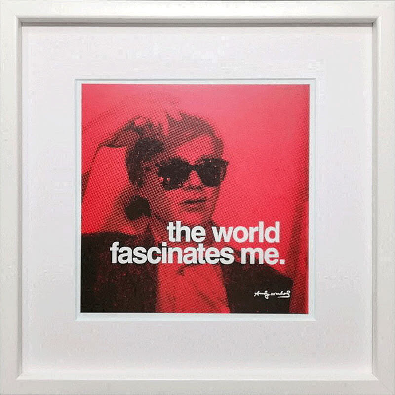 【bicosya/美工社】Andy Warhol / アンディ・ウォーホル  THE WORLD FASCINATES ME