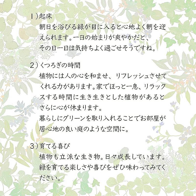 センターテーブル・ローテーブル