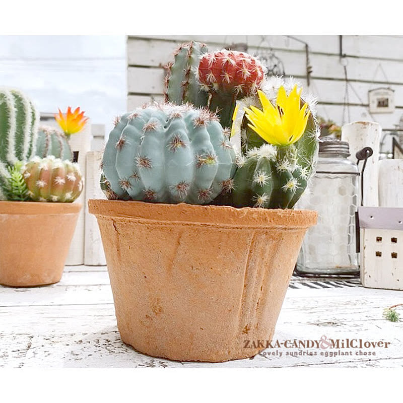 メーカー フェイクグリーン 花サボテン寄せ植え ラウンドポット Lサイズ Sp Dagk13 Aifa インテリア雑貨 のようです Shineray Com Br メーカー フェイクグリーン 花サボテン寄せ植え ラウンドポット Lサイズ Sp Dagk13 Aifa インテリア雑貨 のようです Shineray Com Br