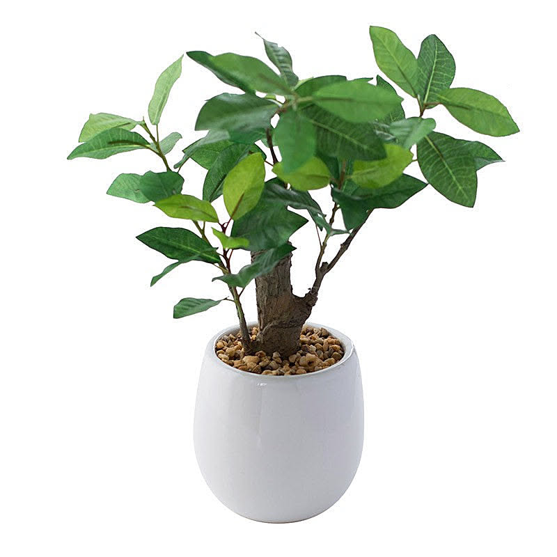 神戸花物語 Kobe Flower Story フェイクグリーンミニ レモンツリーポット Mh 1006 28cm 陶器鉢 Ct触媒のレビュー 口コミとして参考になる投稿4枚