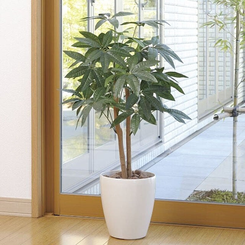 アートクリエイション フェイクグリーン パキラ 造花 インテリアグリーン 光触媒 人工観葉植物 人工植物 インテリア 観葉植物 消臭 抗菌 防汚 リビング 造花 光の楽園 通販 Roomclipショッピング