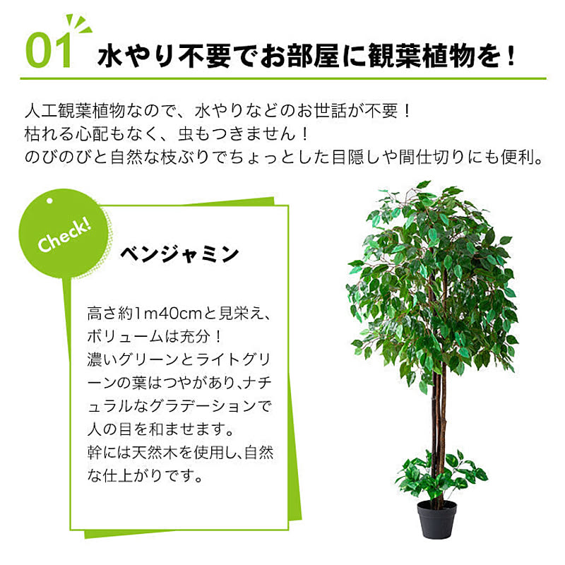 人気絶頂 観葉植物 インテリアグリーン 2点セット ベンジャミン 幸福の木 鉢ポット付き 光触媒加工 人工観葉植物 水やり不要 オフィス 事務所 お店 自宅 フェイクグリーン 送料無料 Expectation Vicocap Org