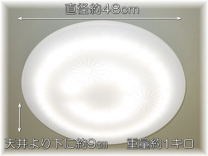 シーリングライト