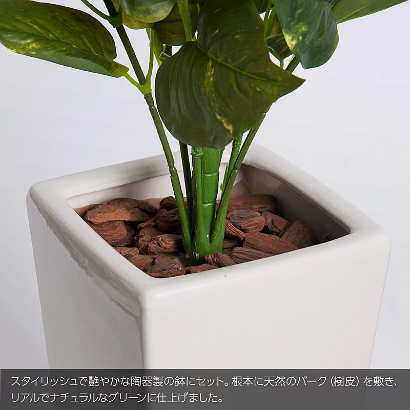 フェイクグリーン