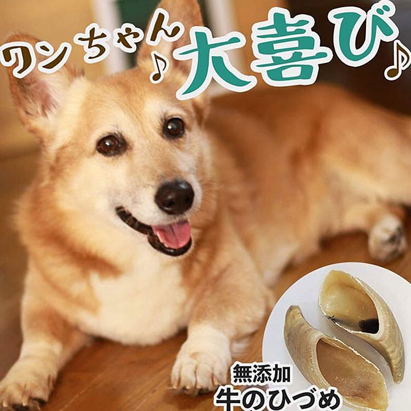 100均 牛のインテリア実例 Roomclip ルームクリップ