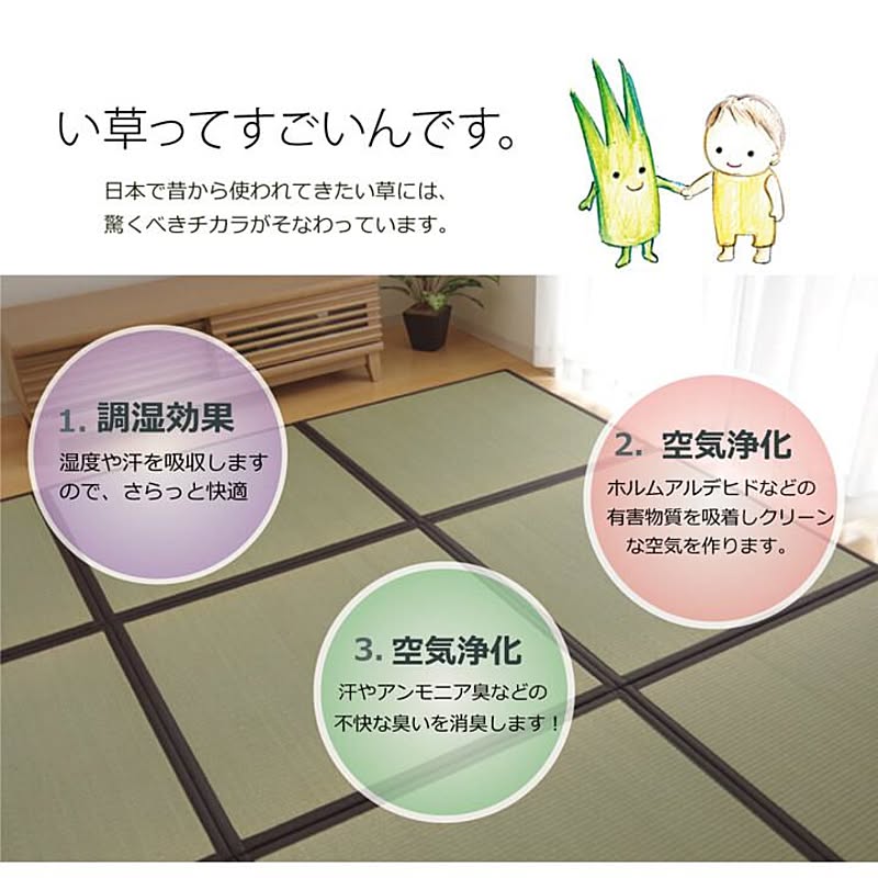 ござ・い草ラグ